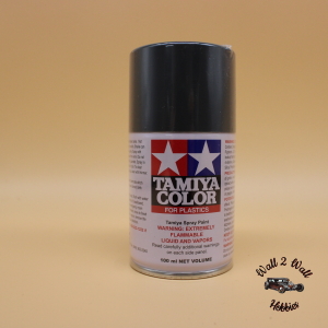 Tamiya TS-4 German Gray Lacquer Spray Paint
