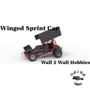 ABS Like Resin 3D Printed Winged Sprint Car 1/25 scale